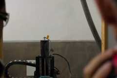20250517-IMG_2611